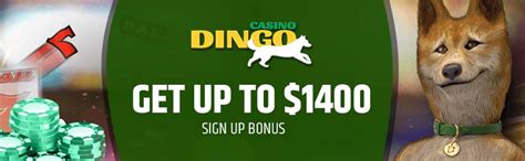  casino dingo welcome bonus